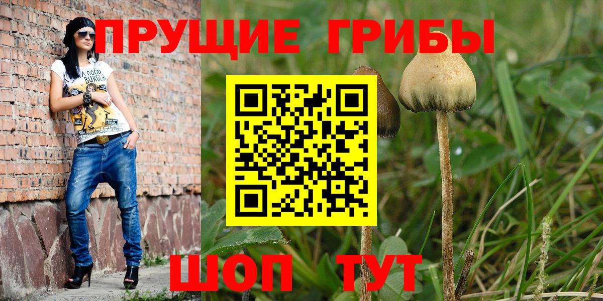 Галлюциногенные грибы ЛСД  Псилоцибиновые грибы GOLDEN TEACHER  Ачхой-Мартан  закладка  Вход с VPN 