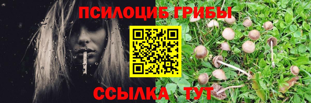 Галлюциногенные грибы MAGIC MUSHROOMS Ачхой-Мартан